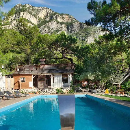 Locanda Chakra Kabak Faralya