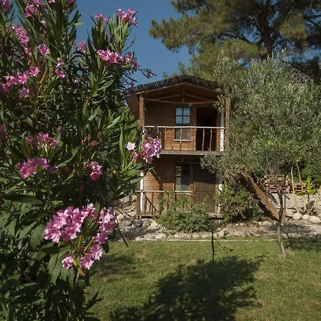 Chakra Kabak Locanda